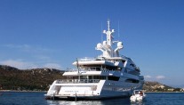 AMEVI - From Stern